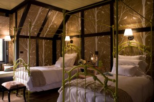 Canopy Transformation