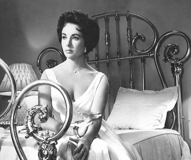 Cathousebeds.com -17