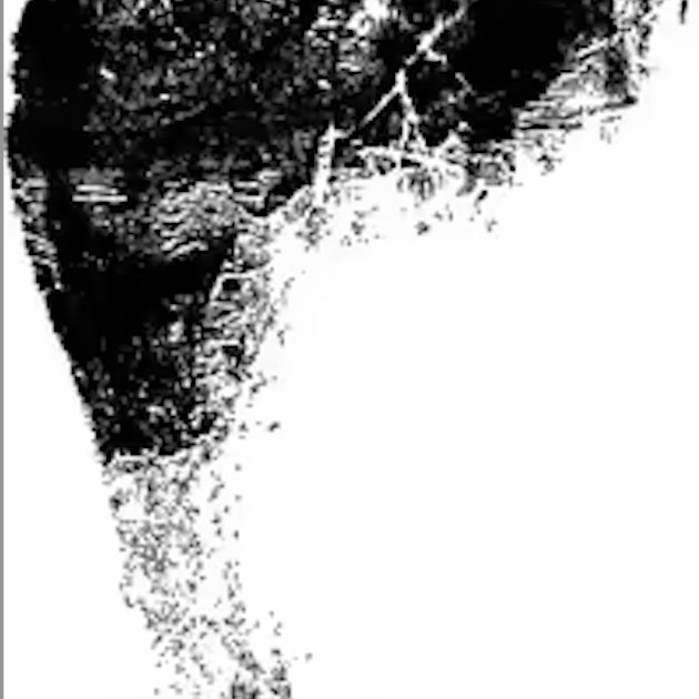 carbon-footprint