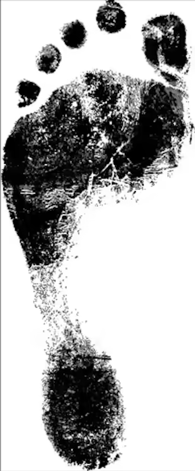 carbon-footprint